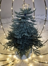 FSL 3D-Tannenbaum-2 - Design Pack