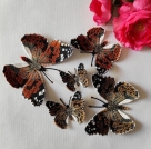 Stickdatei "FSL - Schmetterling Distelfalter (Vanessa cardui)" --- Design Pack