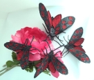 Stickdatei "FSL & ITH - Schmetterling Sechsfleck_Widderchen (Zygaena_filipendulae)" --- Design Pack
