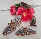 Stickdatei "FSL & ITH - Schmetterling Kleines Nachtpfauenauge (Saturnia pavonia)" --- Design Pack