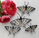 Stickdatei "FSL & ITH - Schmetterling Segelfalter (Iphiclides podalirius)" --- Design Pack