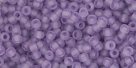 10 g TOHO Seed Beads 11/0 TR-11-0019 F Sugar Plum Frosted