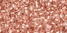 10 g TOHO Seed Beads 11/0 TR-11-0740 - Copper-Lined Crystal (A,E)