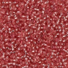 10 Gramm Miyuki Seed Beads 11-1660