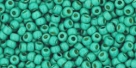 10 g TOHO Seed Beads 11/0 TR-11-PF561 F - Permanent Finish - Matte Galvanized Green Teal (A,C,D)
