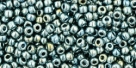 10 g TOHO Seed Beads 11/0 TR-11-0512 - Higher-Metallic Green Silver (A,G,C)