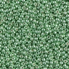5 g Miyuki Seed Beads 11/0 - DURACOAT - 11-4214