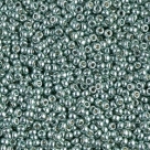 5 g Miyuki Seed Beads 11/0 - DURACOAT - 11-4216