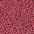 5 g Miyuki Seed Beads 11/0 - DURACOAT - 11-4211