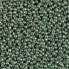 5 g Miyuki Seed Beads 11/0 - DURACOAT - 11-4215