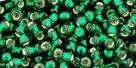 10 g TOHO SeedBeads 8/0 TR-08-0036