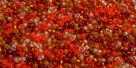 5 Gramm Miyuki Seed Beads 15-Mix 35 Orange Medley