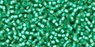 5g TOHO SeedBeads 15/0 TR-15-0024 BF