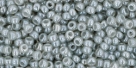 10 g TOHO Seed Beads 11/0 TR-11-0150 - Ceylon Smoke