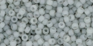 10 g TOHO Seed Beads 11/0 TR-11-0150 F - Ceylon-Frosted Smoke