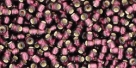 10 g TOHO Seed Beads 11/0 TR-11-0026 CF Amethyst Silver-Lined Frsoted (A,D)