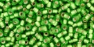 10 g TOHO Seed Beads 11/0 TR-11-0027 F Peridot Silver-Lined Frosted (A,D)
