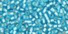 10 g TOHO Seed Beads 11/0 TR-11-0023 F Aqua Silver-Lined Frosted (A,D)