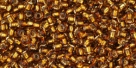 10 g TOHO Seed Beads 11/0 TR-11-2152 S - Silver-Lined Sasparilla (A,E)