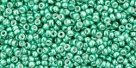 5g TOHO SeedBeads 15/0 TR-15-0561