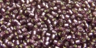 5g TOHO SeedBeads 15/0 TR-15-0026 BF