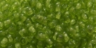 #02 - 50 Stück Perlen rund - tr. olivine - Ø 3 mm