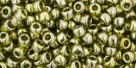 10 g TOHO SeedBeads 8/0 TR-08-0457