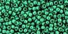 10 g TOHO Seed Beads 11/0 TR-11-PF569 - Permanent Finish - Galvanized Turquoise (A,D,C)