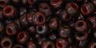 10 g TOHO Seed Beads 6/0  TR-06-Y304