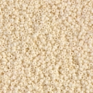 5 Gramm Miyuki Seed Beads 15-2021