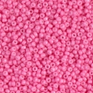 10 Gramm Miyuki Seed Beads 11-1385