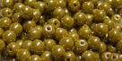 #53 50 Stück Perlen rund - opak goldenrod hem.coating - Ø 4 mm