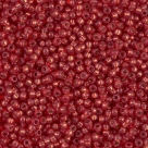 5 g Miyuki Seed Beads 11/0 - DURACOAT - 11-4234