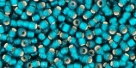 10 g TOHO Seed Beads 11/0 TR-11-0027 BDF Frosted Teal Silver-Lined (A,D)