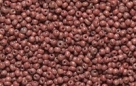 #20-02 10 g Rocailles 20/0 1,0 mm - opak brown