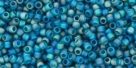 5g TOHO SeedBeads 15/0 TR-15-0167 BDF