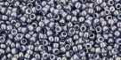 5g TOHO SeedBeads 15/0 TR-15-0455