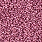 5 g Miyuki Seed Beads 11/0 - DURACOAT - 11-4210 F