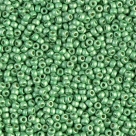 5 g Miyuki Seed Beads 11/0 - DURACOAT - 11-4214 F