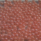 #62 50 Stück - 3,0 mm Glaswachsperlen - peach